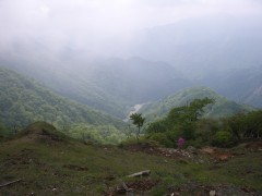 monthly201007_1.jpg