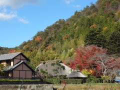 嵯峨野田舎道