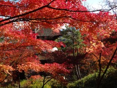 常寂光寺境内