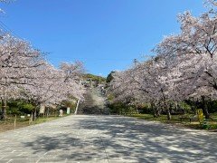 福岡市西公園